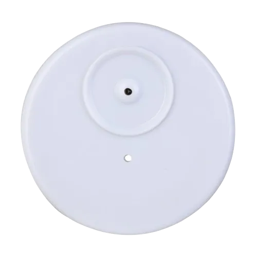 030316.2.webp